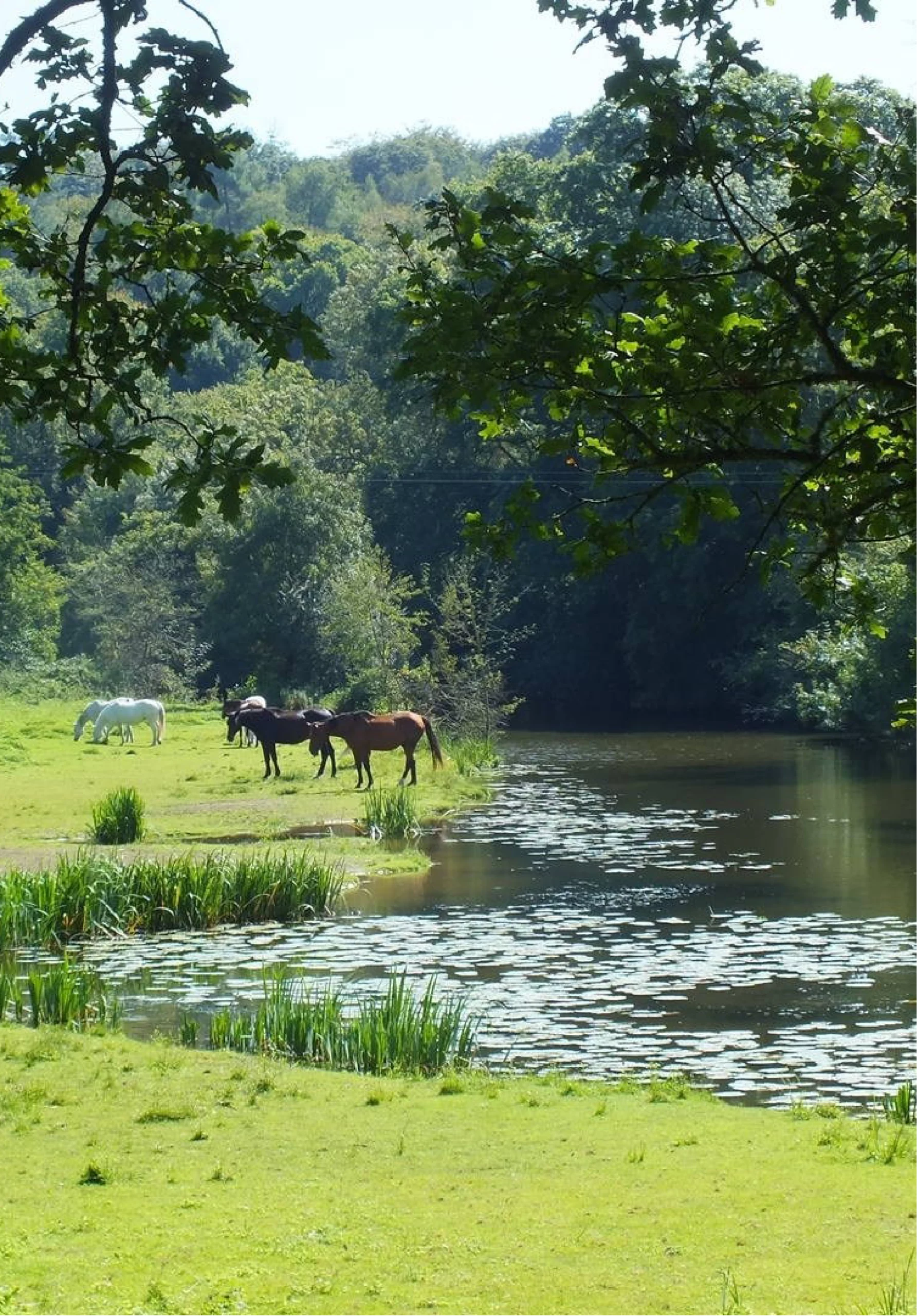 Vallée du Don_Gîte de BOUDAFAY